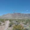 Looking east from the trail and the Franklin Mountains