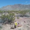 View of  Franklin Mountains from the trail