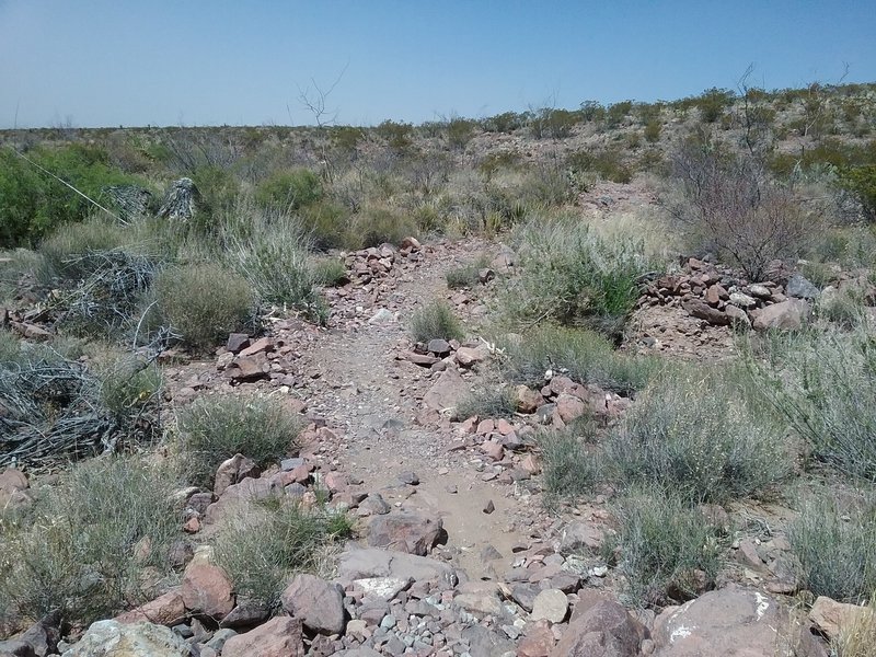 View of trail, looking north