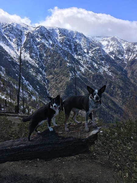 Hanging out along Icicle Ridge, enjoying the view