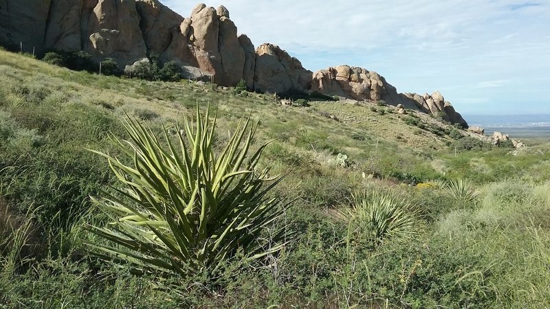 View of the Cueva rocks