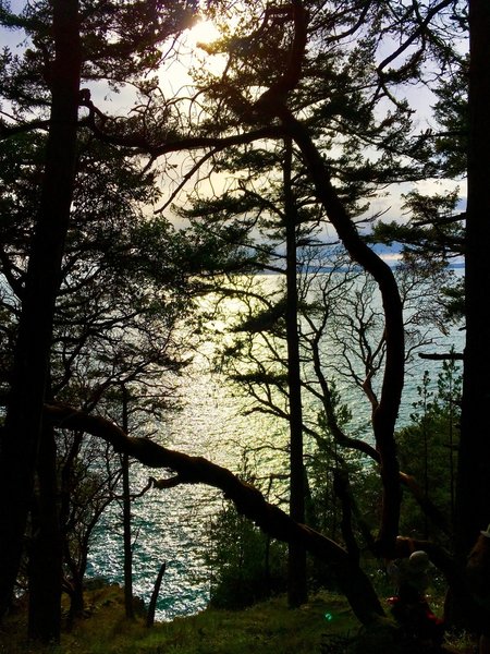 The sun and the water as seen from the trail.