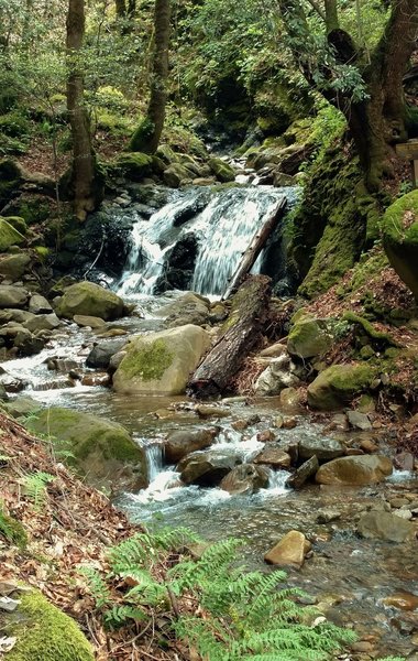 Little Falls along the Waterfall Loop Trail.