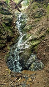 Triple Falls is hidden at the end of the short Triple Falls Trail off of Alec Canyon Trail.