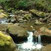 Swanson Creek cascades over moss covered rocks along Swanson Creek Trail.