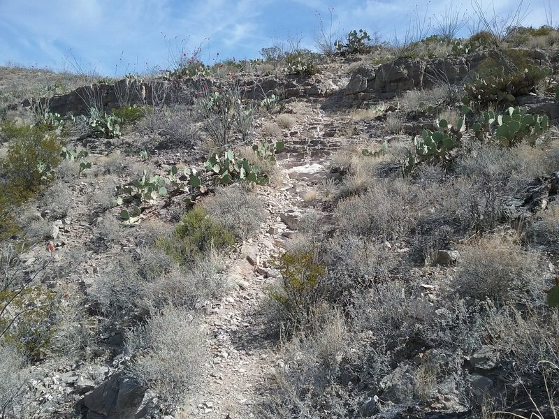 One of the steeper sections of the trail