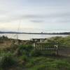 A bench with a view across Union Bay towards Mt. Rainier.