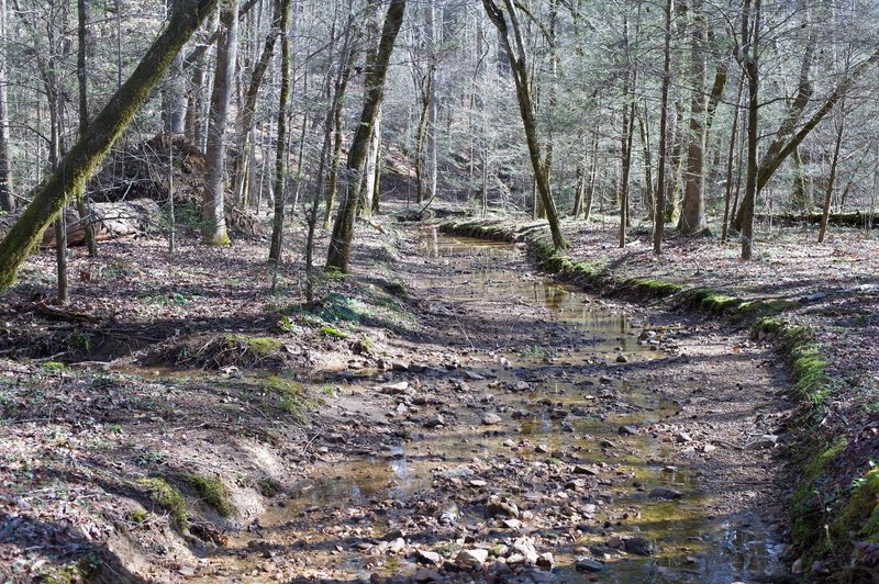 There are areas of the trail that can be particularly wet, especially after a rain. Here, you can see where the trail essentially is a creek.