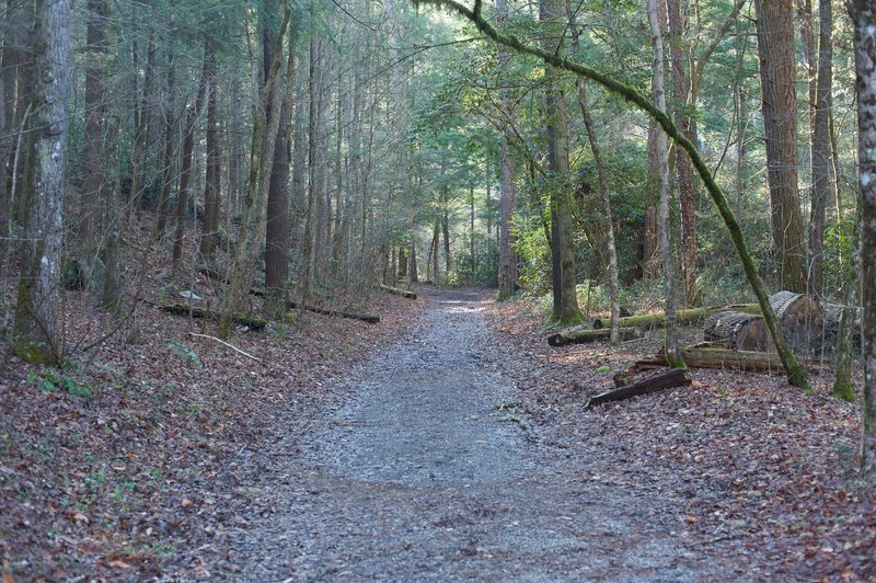 As the trail leaves the campground, the trail is gravel and wide.