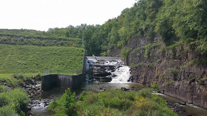 are dogs allowed at lackawanna state park