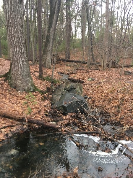 Babbling Brook at the North end