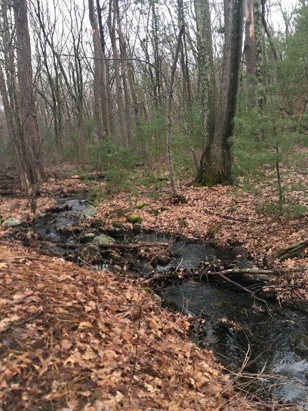 Looking upstream at the brook at the north end