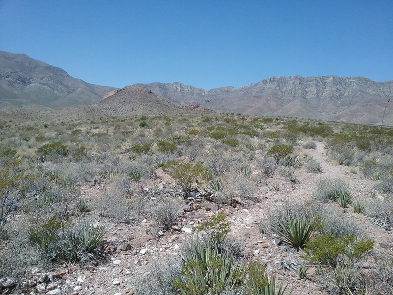 Looking West from the trail