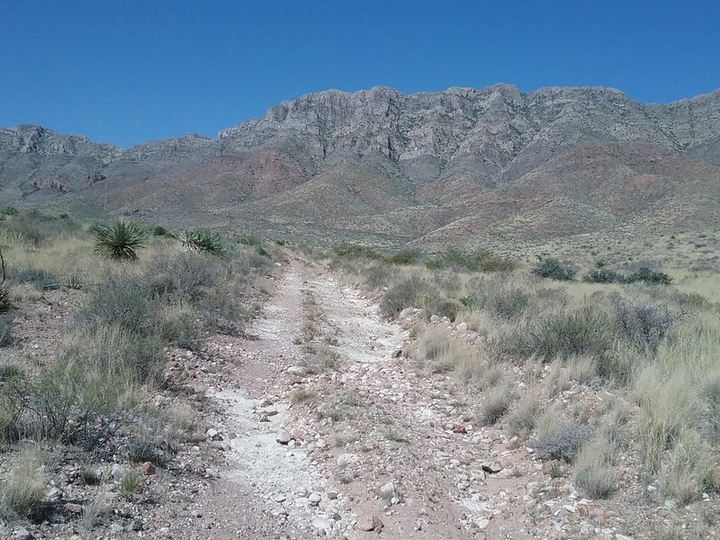 Looking west from the trail towards the Franklin Mountains