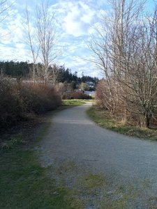 The trail.