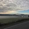 Ebey's Prairie under a blanket of fog.