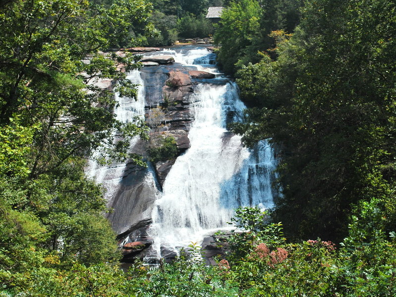 DuPont State Forest