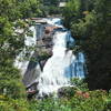 DuPont State Forest