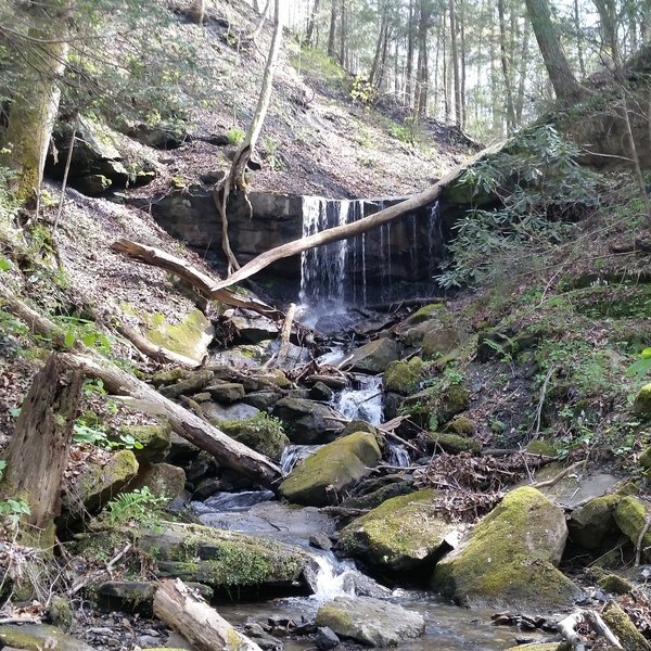 Many little waterfalls along the trail