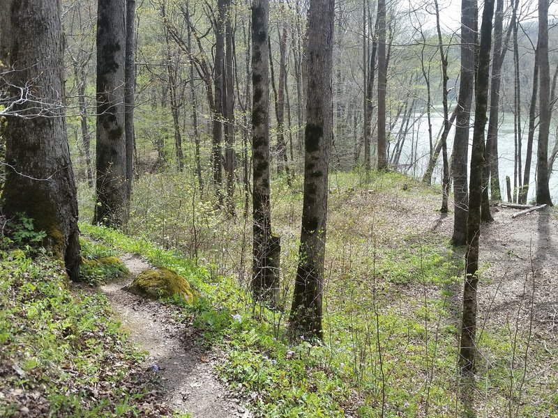 Sheltowee Trace follows Big South Fork River for several miles.