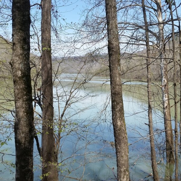 River views are plentiful along Sheltowee Trace