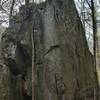 It amazes me how nature finds a way to thrive. Check out the trees growing out of this huge rock.