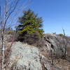 Terrace Pond North Trail