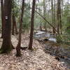 Red Maple Trail