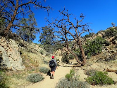 Along the trail to Warren Peak