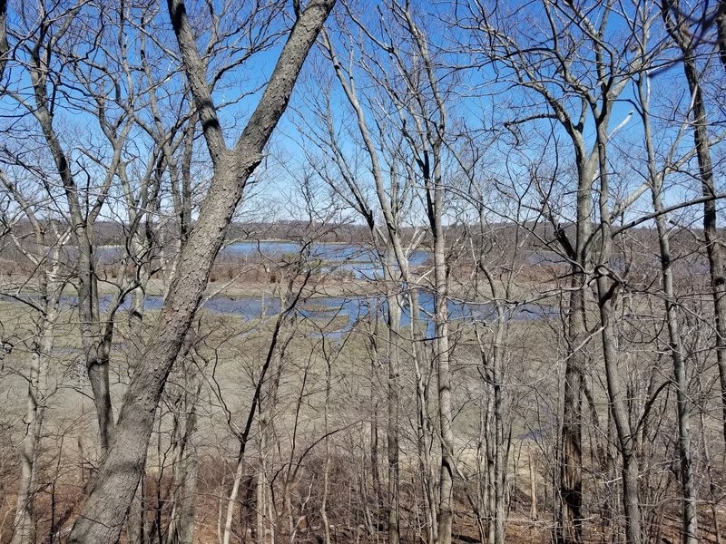 View of the Reversing Falls Marsh from the high point of the Great Esker