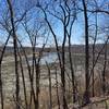 Looking down at the Reversing Falls Marsh