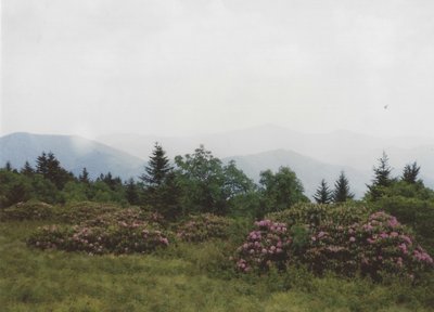 The Gardens in Jue