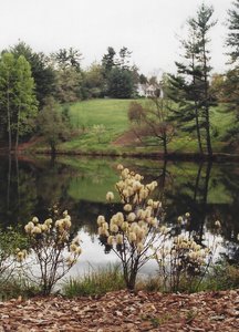 View of the Carl Sandburg Home.