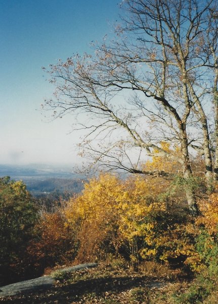 Looking west from Glassy mountain top.