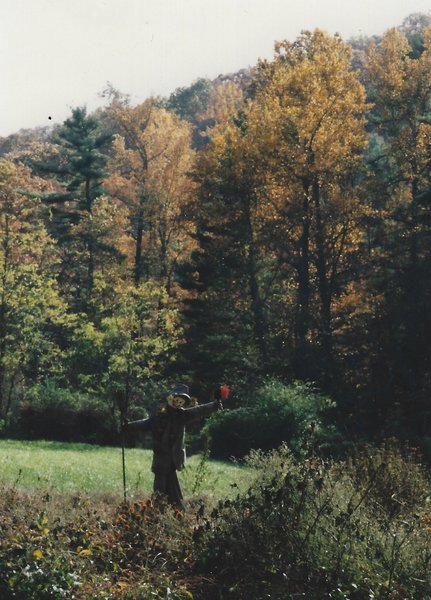 Carl Sandburg Home National Historic site garden.