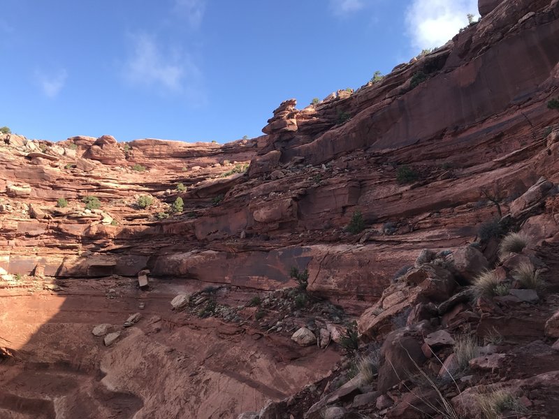 On the switchbacks on the descent/ascent.