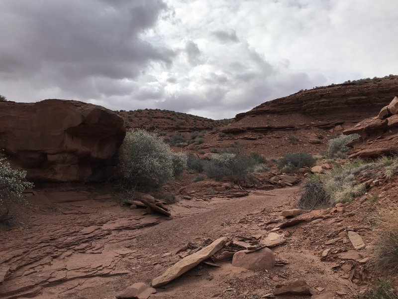 Hiking in the wash, before some rain falls