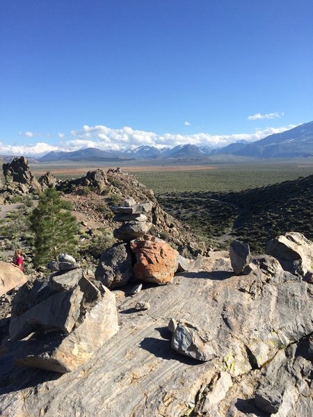 View back Panum Crater Trail