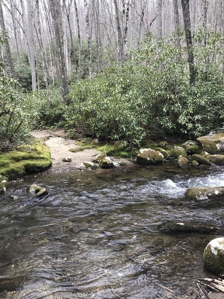 Last knee deep crossing if you are headed up Noland Creek toward Pole Creek.