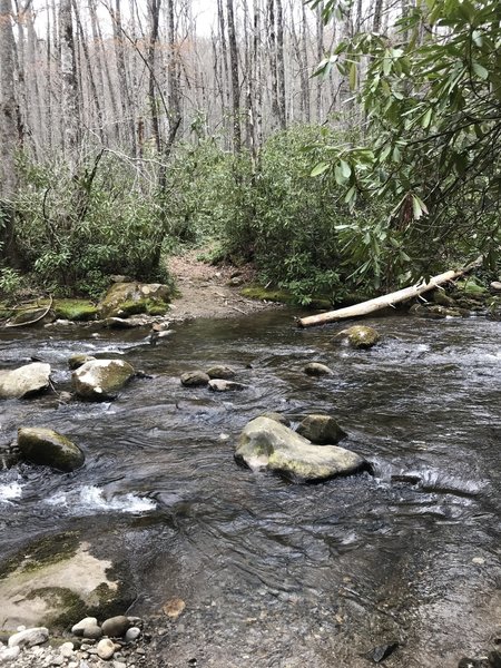 First real crossing. Just wanted to give an idea of what to prepare for. I'm 5'10" and it was right at knee deep. Keep your crocs on for the maybe the next mile. Several rock hops and one more knee deep ford.