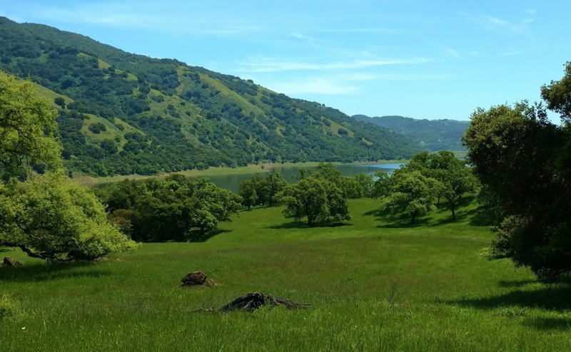 Coyote Lake can be seen across a meadow along Calaveras Trail.