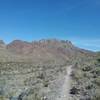 View of the South Franklin Peak from the trail