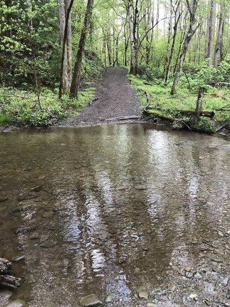 One of many creek crossings with no options to keep feet dry.