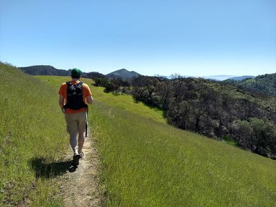 Well-cut track on Vista Trail