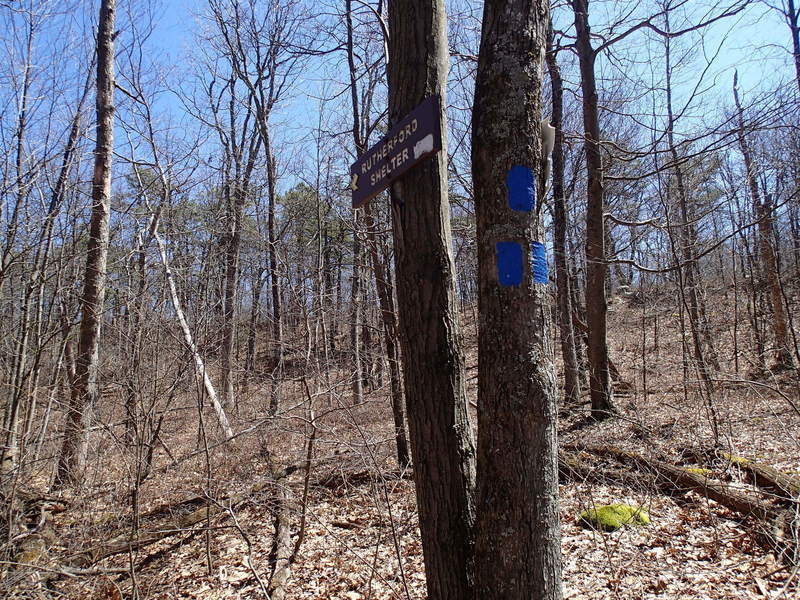 Trail to Rutherford shelter