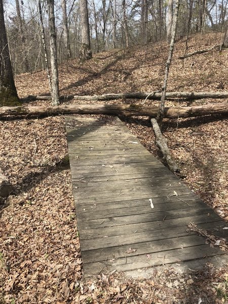 Timber across trail #1 at Dean lake.