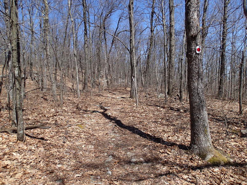 Iris Trail - Appalachian Trail junction