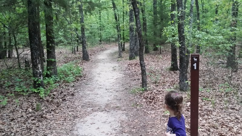 A great trail to enjoy with your little ones.