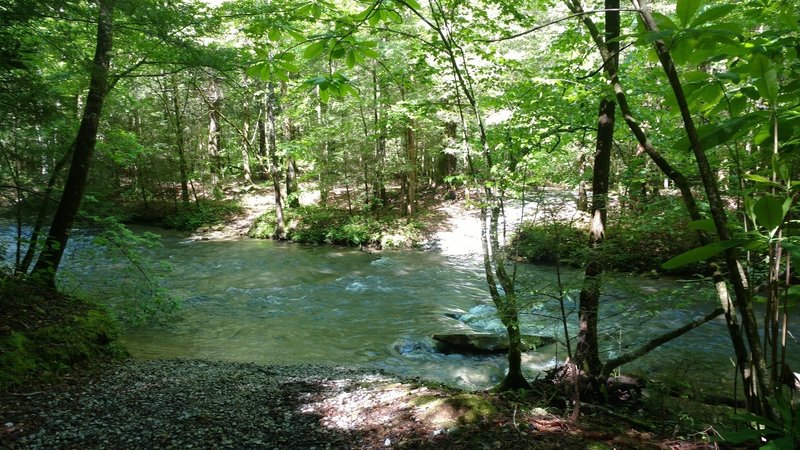 The crossing at No Business Creek from the Longfield Branch trail.