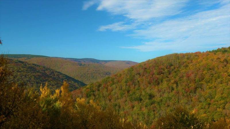 Fall colors view from south side of Breathed Mountain